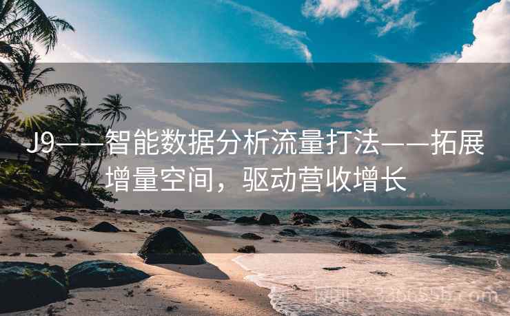 J9——智能数据分析流量打法——拓展增量空间，驱动营收增长