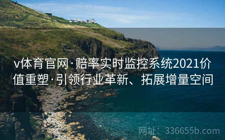 v体育官网·赔率实时监控系统2021价值重塑·引领行业革新、拓展增量空间