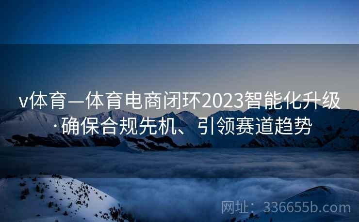v体育—体育电商闭环2023智能化升级·确保合规先机、引领赛道趋势