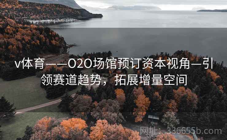 v体育——O2O场馆预订资本视角—引领赛道趋势，拓展增量空间